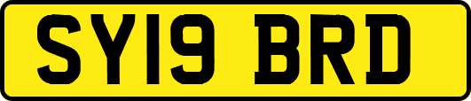SY19BRD