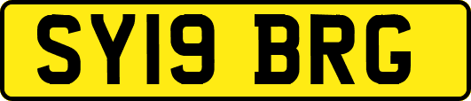 SY19BRG