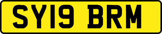 SY19BRM