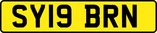 SY19BRN