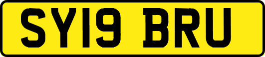 SY19BRU