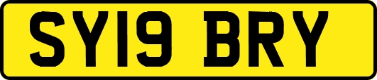 SY19BRY