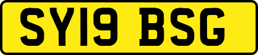 SY19BSG