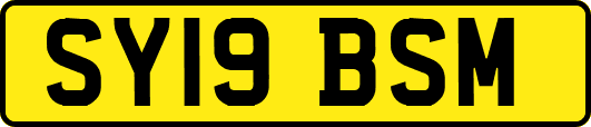 SY19BSM