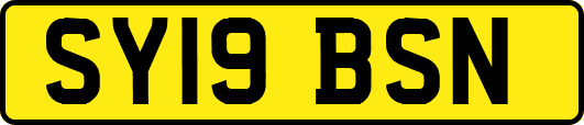 SY19BSN