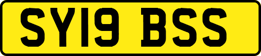 SY19BSS