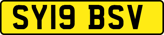 SY19BSV