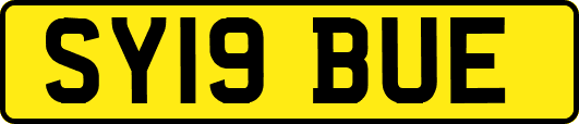 SY19BUE