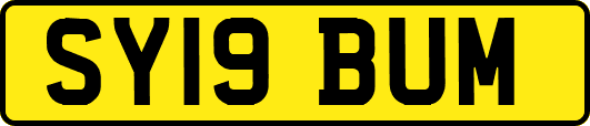 SY19BUM