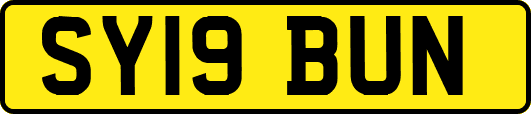 SY19BUN