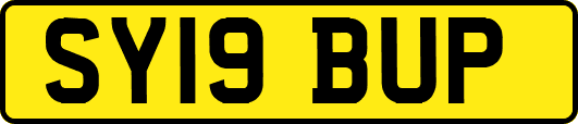 SY19BUP