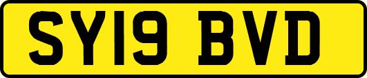 SY19BVD