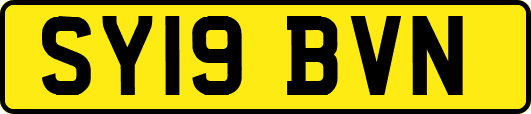 SY19BVN