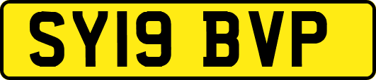 SY19BVP