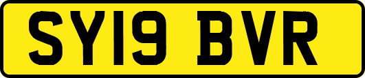 SY19BVR