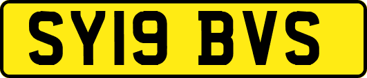 SY19BVS