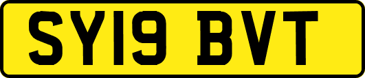 SY19BVT