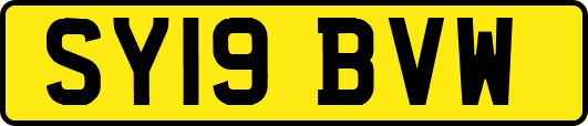 SY19BVW