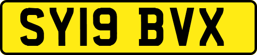 SY19BVX