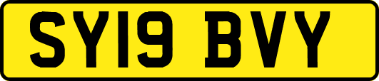 SY19BVY