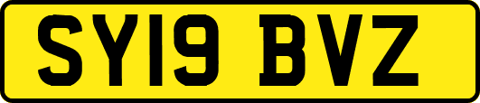 SY19BVZ