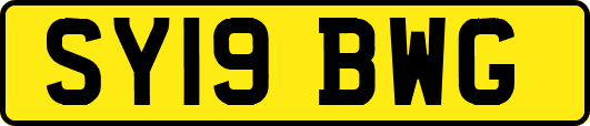 SY19BWG