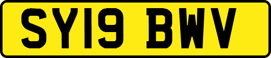 SY19BWV