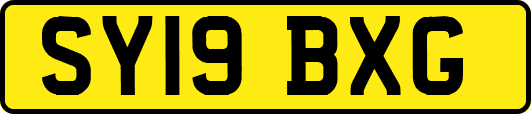 SY19BXG