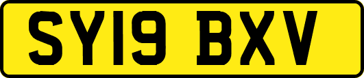 SY19BXV