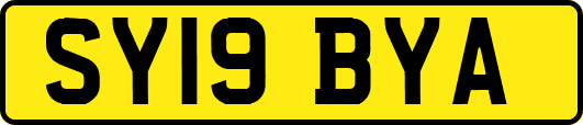 SY19BYA