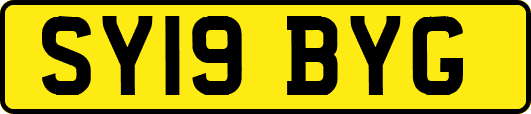 SY19BYG