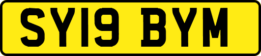 SY19BYM