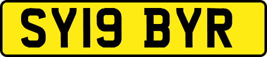 SY19BYR