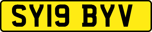 SY19BYV