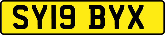 SY19BYX