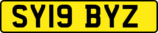 SY19BYZ