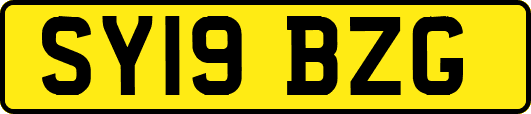 SY19BZG