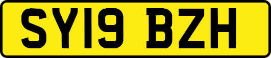 SY19BZH