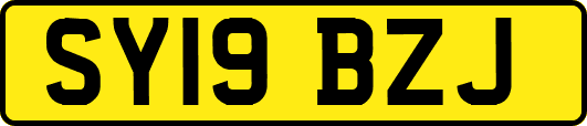 SY19BZJ