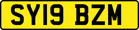 SY19BZM