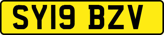 SY19BZV