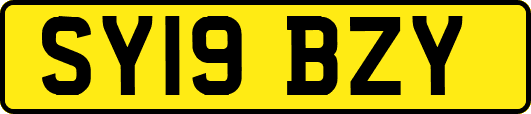 SY19BZY