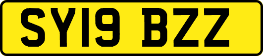 SY19BZZ
