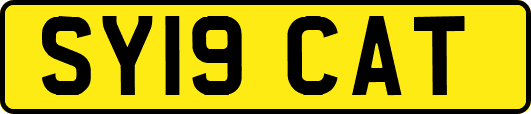 SY19CAT