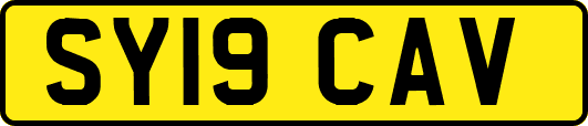 SY19CAV