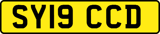 SY19CCD