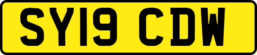 SY19CDW