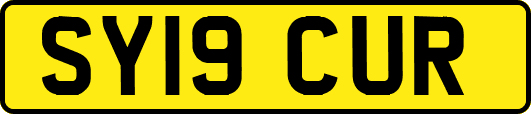 SY19CUR