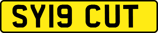 SY19CUT