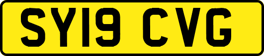 SY19CVG